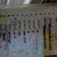 دلیکا بدون رنگ