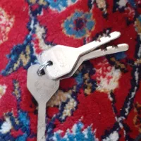 پیدا شده در سعدی وسط