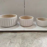 گلدان سرامیکی|گل و گیاه طبیعی|لالجین, |دیوار