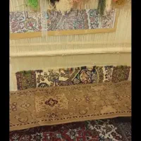 قالی دست باف|فرش|بروجرد, |دیوار