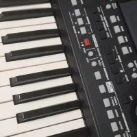 Pa300|پیانو، کیبورد، آکاردئون|چمستان, |دیوار