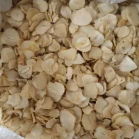 موسیر خشک