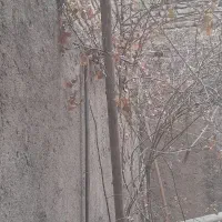 کانال کولر بزرگ