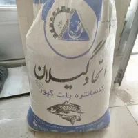 پلت ماهی|ماهی|مرند, |دیوار