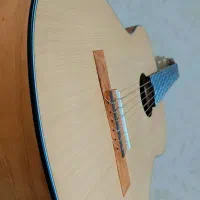 گیتار  کلاسیک اسپانیش|گیتار، بیس، امپلیفایر|شاهین‌شهر, سعدی شمالی|دیوار