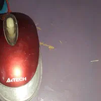 کیس و مانیتور
