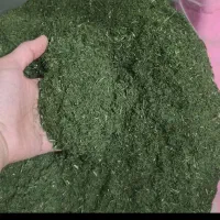 فروش شویدخشک درجه یک