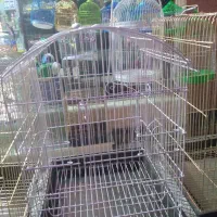 کلکسیون قفس پرنده