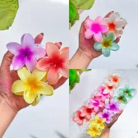 کلیپس پلومریا رنگی و شیشه‌ای