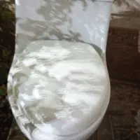 توالت فرنگی