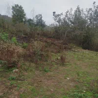 400متر زمین مسکونی نزدیک به رودخانه|فروش زمین و ملک کلنگی|احمدسرگوراب, |دیوار