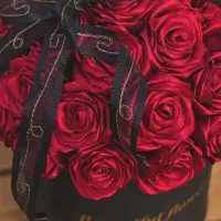 دنیای گل های رز روبانی|گل مصنوعی|بندر انزلی, طالب آباد|دیوار