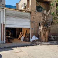 سوله 200 متری نوآوران سایت چوب|فروش دفتر صنعتی، کشاورزی، تجاری|خاوران, |دیوار