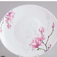 ظروف پذیرایی شیک|ظروف سرو و پذیرایی|تهران, والفجر (افسریه)|دیوار