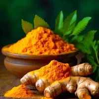 فروش ویژه ادویه جات جنوب ۲۹ شهریور ماه