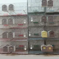 قفس تکی بازاری با کلیه وسایل