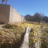 خرید چوب درخت|خدمات باغبانی و درختکاری|خرم‌آباد, |دیوار