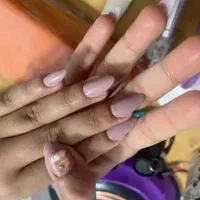 مدل کاشت