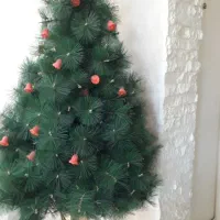 درخت کریسمس