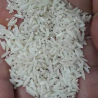 برنج فجر|خوردنی و آشامیدنی|پره‌سر, |دیوار