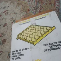 دستگاه جوجه کشی ۴۲|لوازم جانبی حیوانات|تهران, قصر فیروزه ۱|دیوار