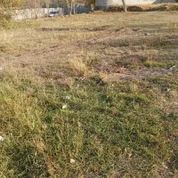 زمین مسکونی به متراژ۲۰۰مترواقع درشهرآلنی|فروش زمین و ملک کلنگی|مشگین شهر, |دیوار