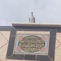 کبوتر. کفتر. پرندا