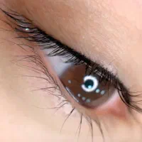 فقط دو نفر برای آرایش دائم لب و بن مژه|خدمات زیبایی و سلامت|تهران, حبیب الله|دیوار