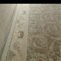 قالی ۱۲متری|فرش|آباده, |دیوار