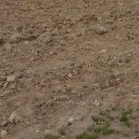 زمین کشاورزی قهجاورستان