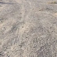 فروش زمین 200 متری نبی اکرم یک کوچه گمشادزهی