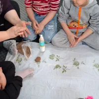 بازی درمانی ،کاردرمانی و خدمات آموزشی