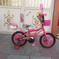 چند دستگاه دوچرخه 12و 16و 20|دوچرخه، اسکیت، اسکوتر|ری, تقی آباد|دیوار