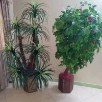 درخت مصنوعی|گل مصنوعی|تهران, خانی آباد نو شمالی|دیوار