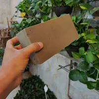 اسفنج گل آرایی مصنوعی طبیعی استند سانسوریا کوکوپیت|گل و گیاه طبیعی|قم, نیروگاه|دیوار