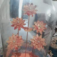 باکس گل مسی