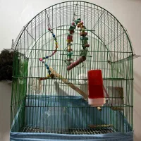 قفس عروس هلندی پر امکانات