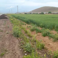 زمین کشاورزی مناسب باغ و سوله و...