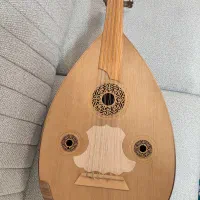 عود حرفه ای