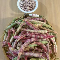 لوبیا چیتی محلی