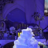 تشریفات عروسی، عقد، تولد و موزیک قصر گیلان|خدمات پذیرایی، مراسم|رشت, معلم|دیوار