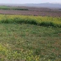 ویلایی-بازسازی-شده-مرکزشهر