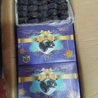 خرما|خوردنی و آشامیدنی|تهران, میدان میوه و تره‌بار مرکزی|دیوار