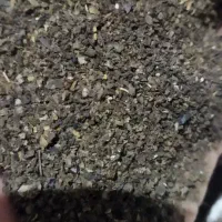 مدارک به نام سید یونس شبیبی