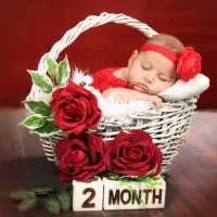 تعدادی لوازم آتلیه و تم تولد|دوربین عکاسی و فیلم‌برداری|فلاورجان, |دیوار