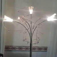 اباژور ۶شاخه بلند