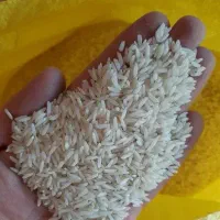 طارم اعلی فریدونکنار (مازندران)