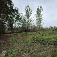 زمین-بایر-چسبیده-ب-مسکونی
