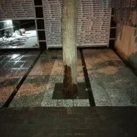 نصب کاشی و سرامیک وسنگ فرش|خدمات پیشه و مهارت|مشهد, دوست آباد|دیوار