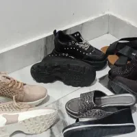 کیف کفش هفت سین